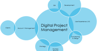 Digital project manager, chi è e cosa fa