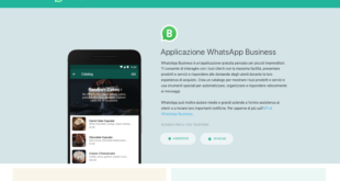 Come funziona WhatsApp Business e cosa si può fare